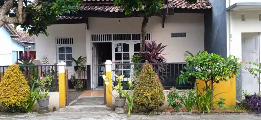 Rumah disewakan