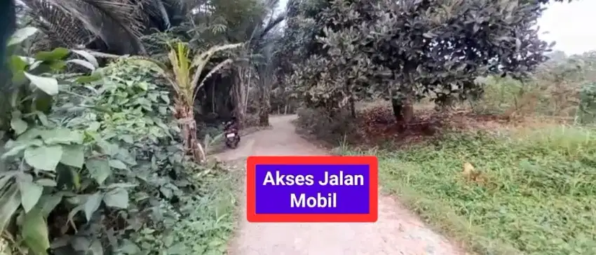 Jual tanah kebun murah Lewiliang Bogor