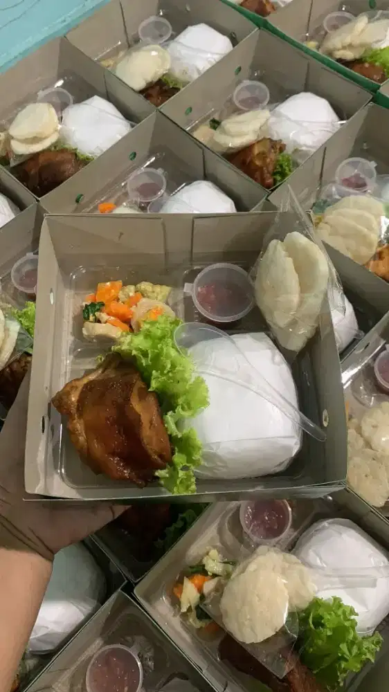 Catering katering paket nasi box nasi kotak