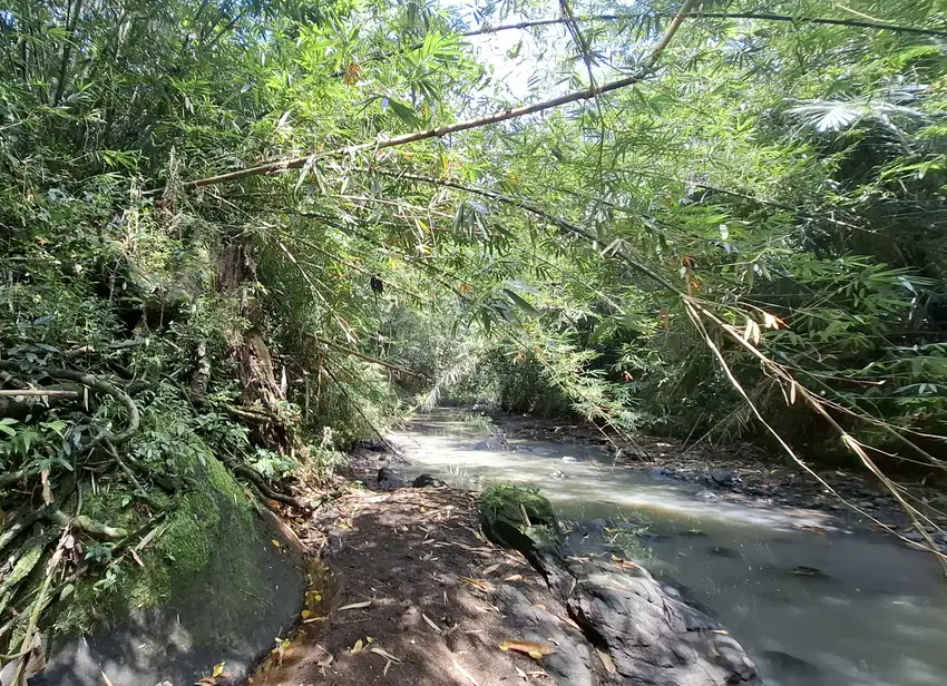 Dijual tanah los sungai dan view sawah
