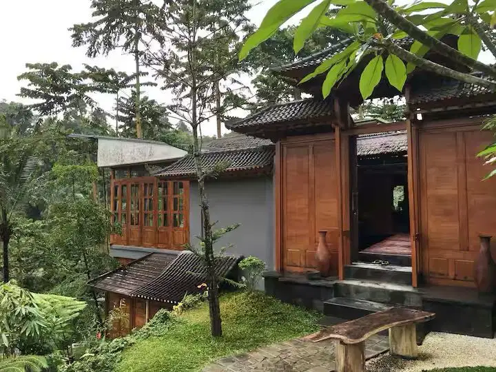 The ULTIMATE Jungle View for Freehold Sale Tegalalang - Ubud