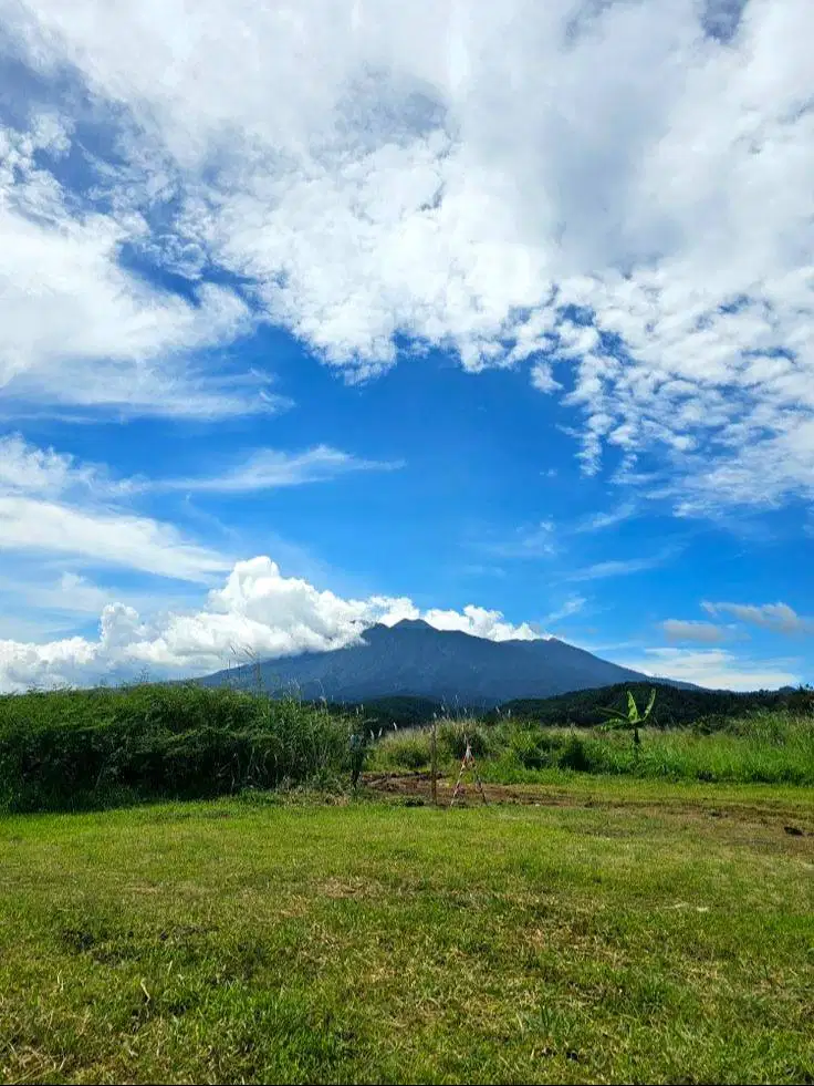 DICARI TANAH 2000 m2 ATAU LEBIH WILAYAH JAWA TIMUR