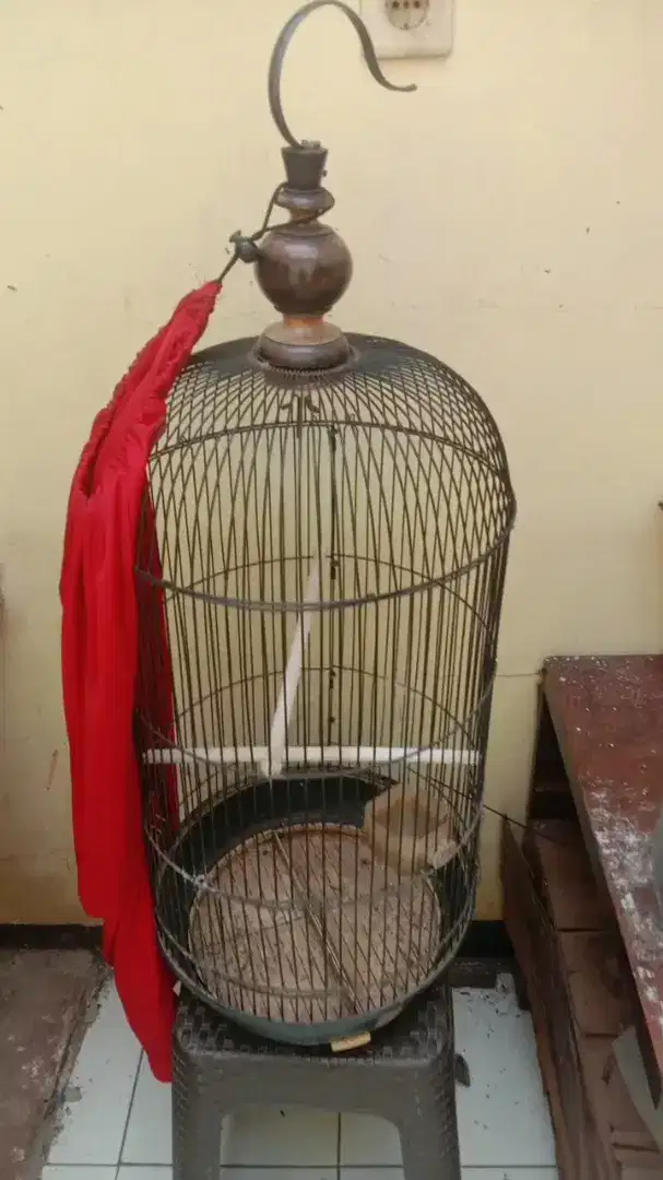 Kandang love bird fulset 150 RB pondok aren
