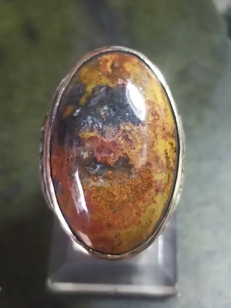 Badar Asem
- Ring Alpaka 7.5