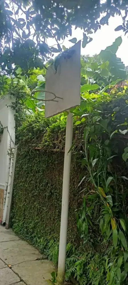 Ring Basket Tinggi 307, Kotak Ring Basket: Panjang 111 & Lebar 111