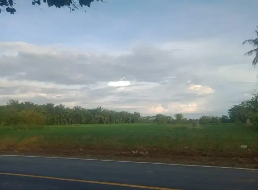 Jual Cepat Tanah Datar ,SHM, Kabupaten Lampung Tengah Propinsi Lampung