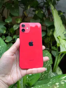 Iphone 12 mini 64gb wifi only
