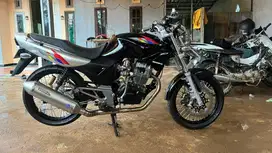 Tiger Revo 2010