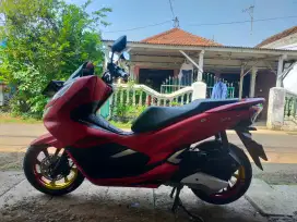 PCX 2020 ABS plat N probolinggo