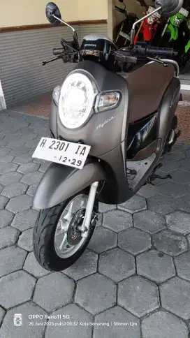 Honda Scoopy Stylish 2019
