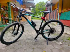 Sepeda Gunung MTB Polygon Xtrada 8 size L