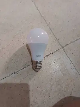 Lampu led philips 12 watt