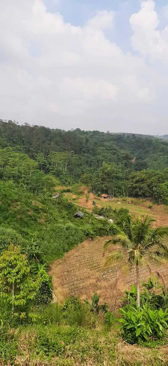 DIJUAL TANAH 3.5 HA PINGGIR JALAN DI DARANGDAN PURWAKARTA