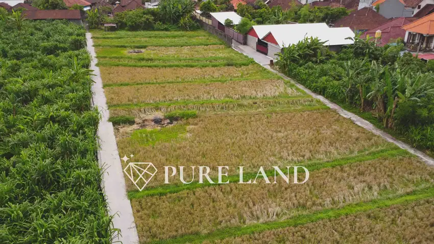 2485m2 Land in Muding