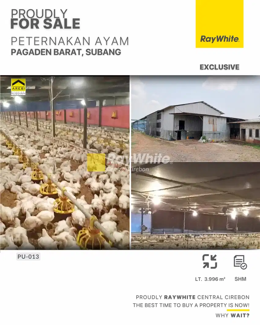 Dijual Peternakan Ayam 3996 m2 di Subang