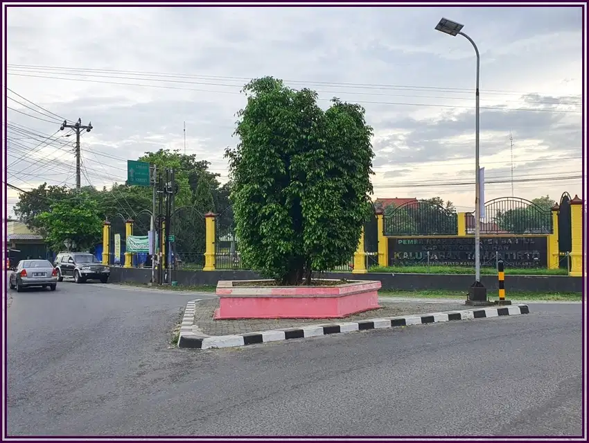 Tanah Dijual Jl.Pasar Hewan Selatan Kampus UMY Hari Ini