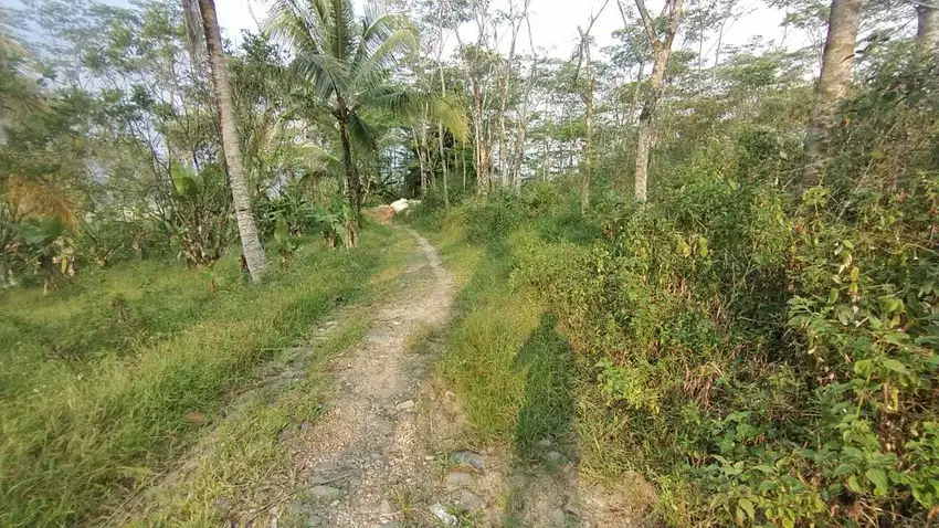 Dijual tanah di sentul