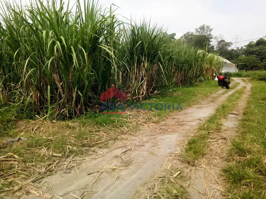 Tanah Sawah DIJUAL Di Kembangan, Ngasem, Kab Kediri