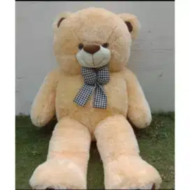 boneka beruang jumbo 1.6M boneka Teddy bear jumbo