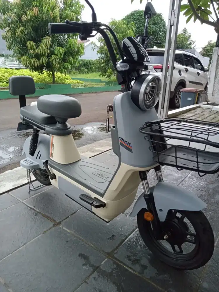 SEPEDA LISTRIK PCF RELICUS