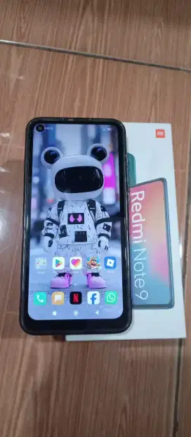 Xiaomi Redmi Note 9