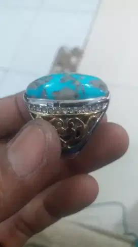 Pirus persia badar perak