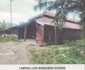 Dibawah Njop Lokasi Strategis Tanah di Jambi Timur