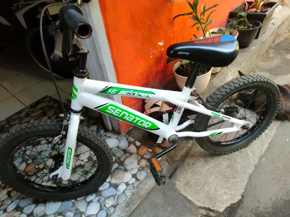 sepeda senator anak