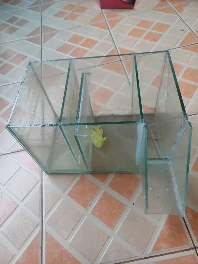 Aquarium filter ikan