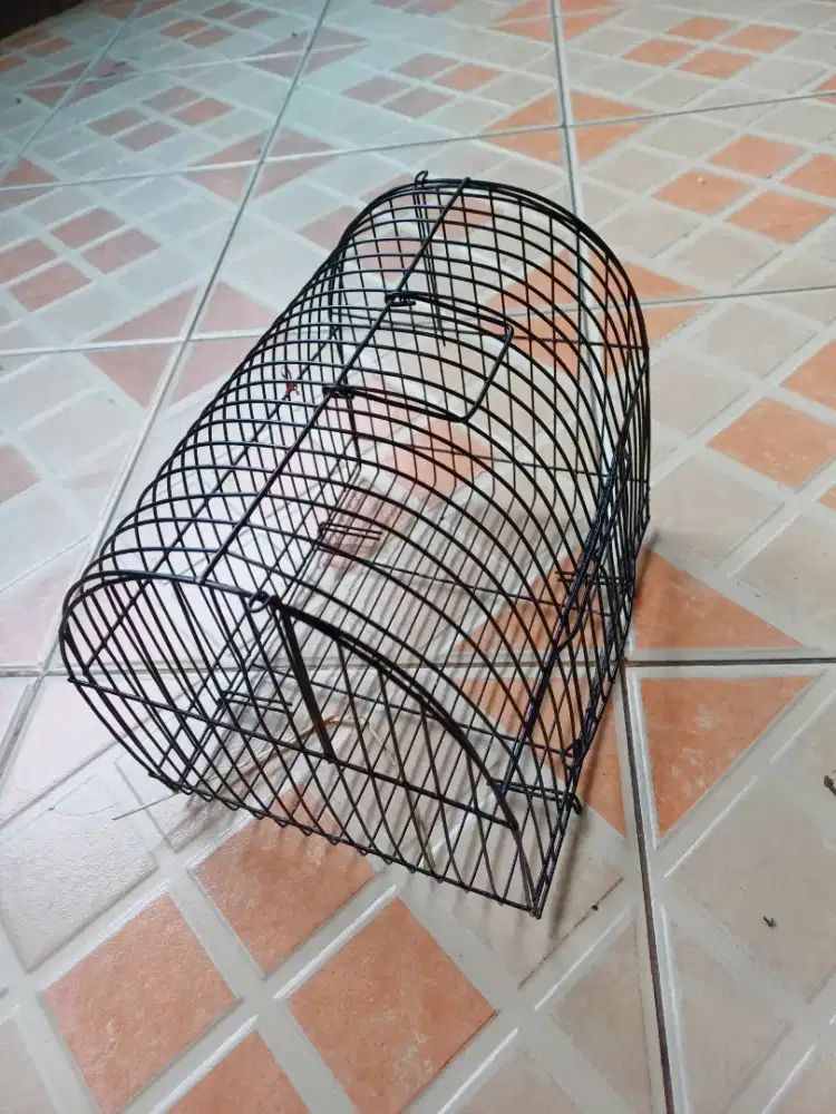 Kandang Burung Gereja