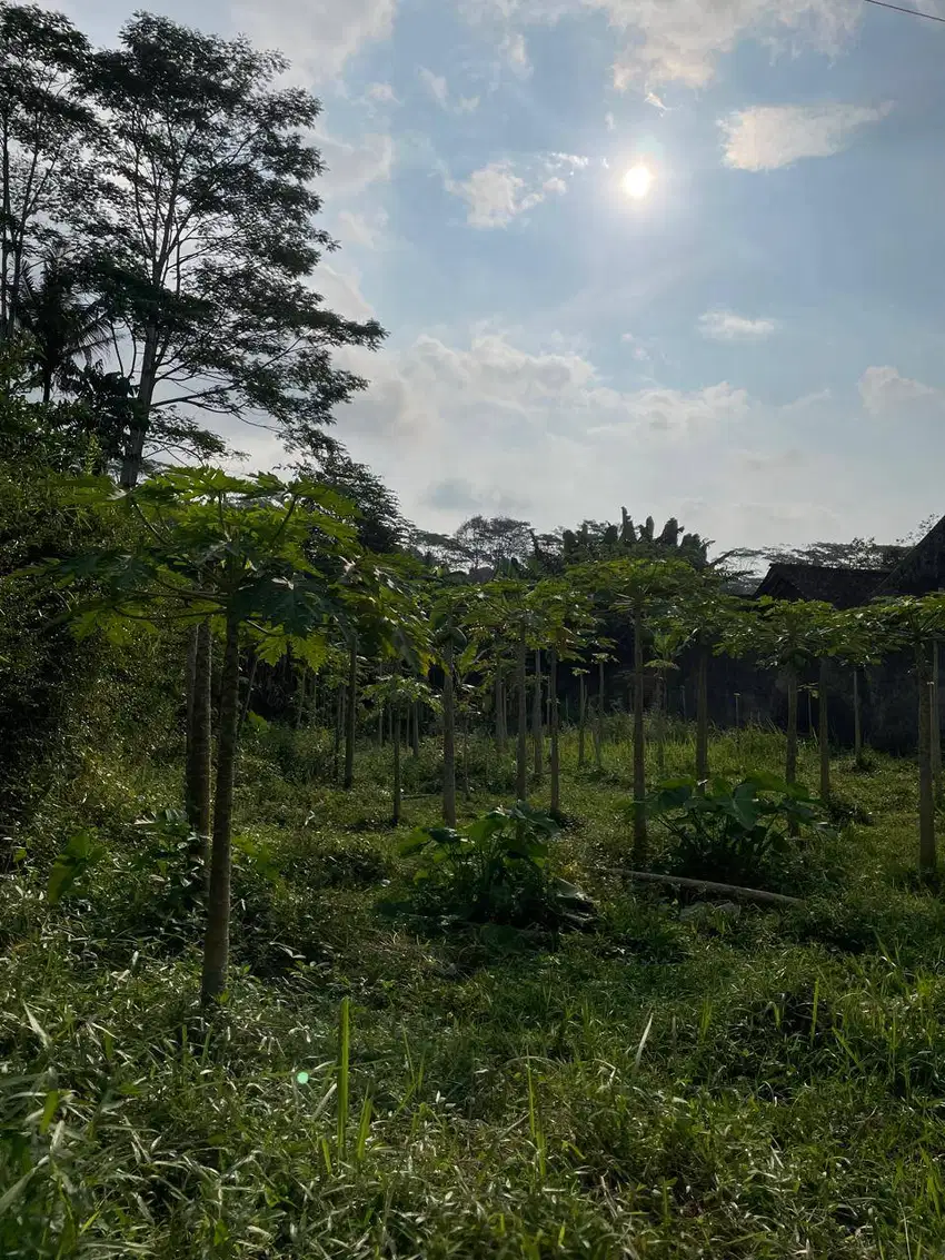 Dijual Cepat Tanah 724 m² SHM Lokasi Soropadan, Pringsurat, Temanggung