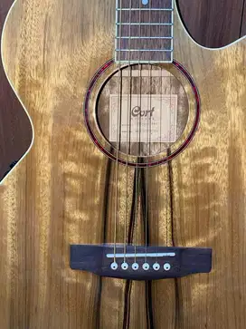 Cort Acoustic Guitar