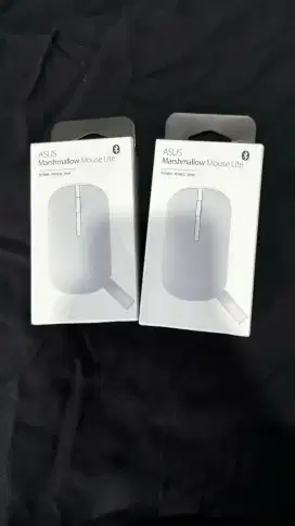 Asus Marshmallow Mouse Lite ( Mouse portable, wireless, silent)