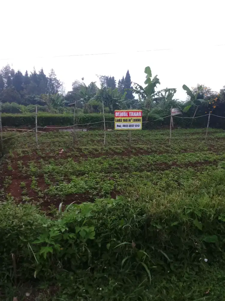 Dijual Tanah SHM Pakuhaji Haji Gopur