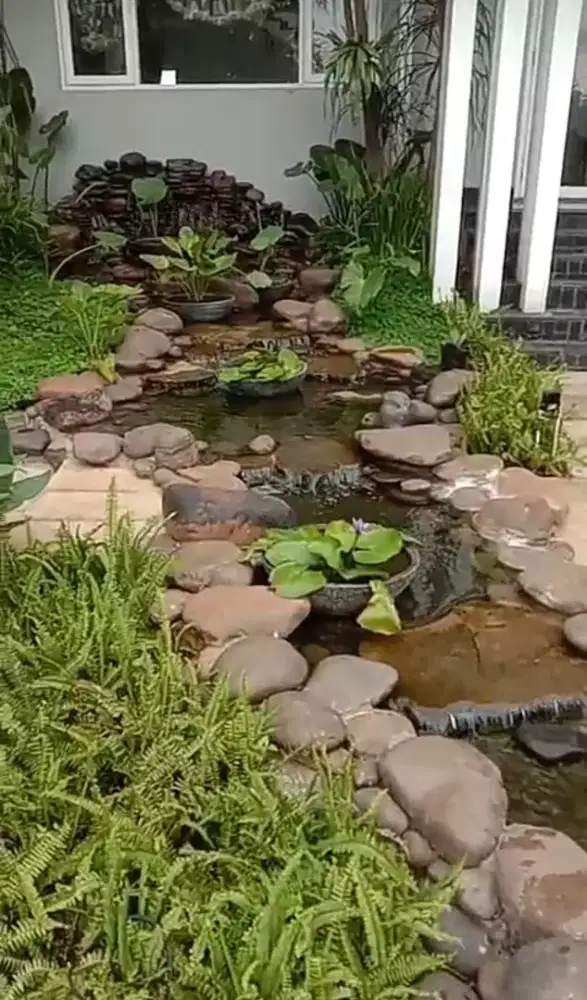 Taman, kolam, perawatan, tumbuhan, pohon, beringin untuk rumah kantor