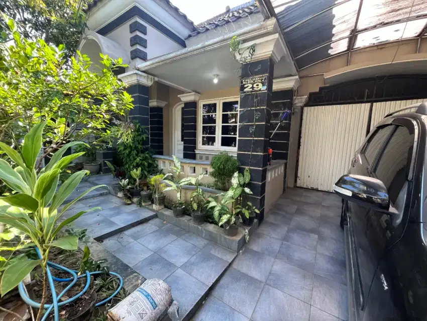 Langka! Rumah Tidar Lowokwaru Kota Malang