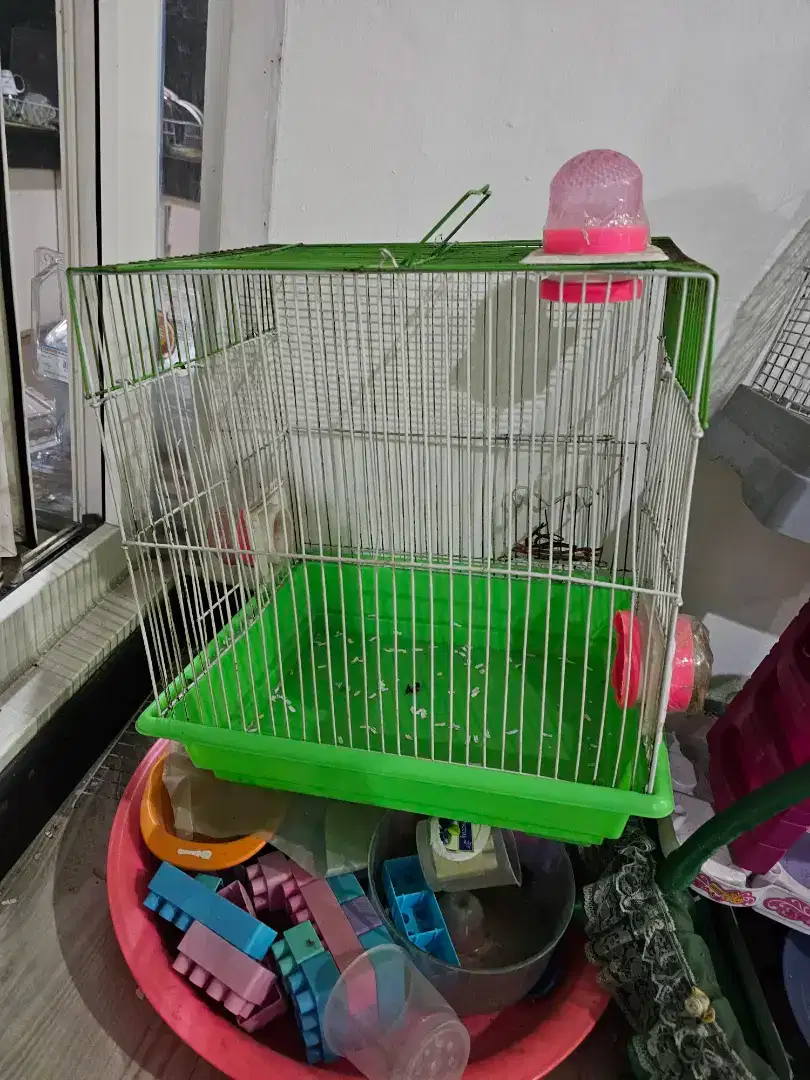 Kandang Hamster