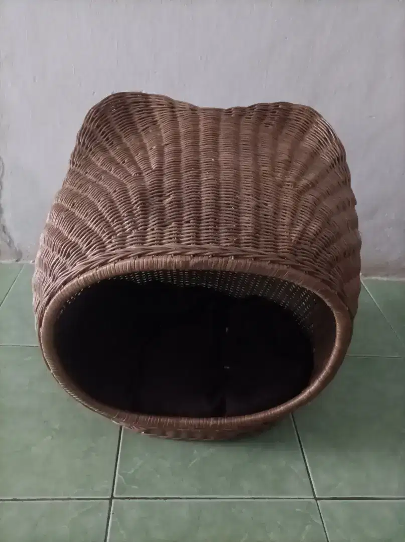 Tempat Tidur Kucing
