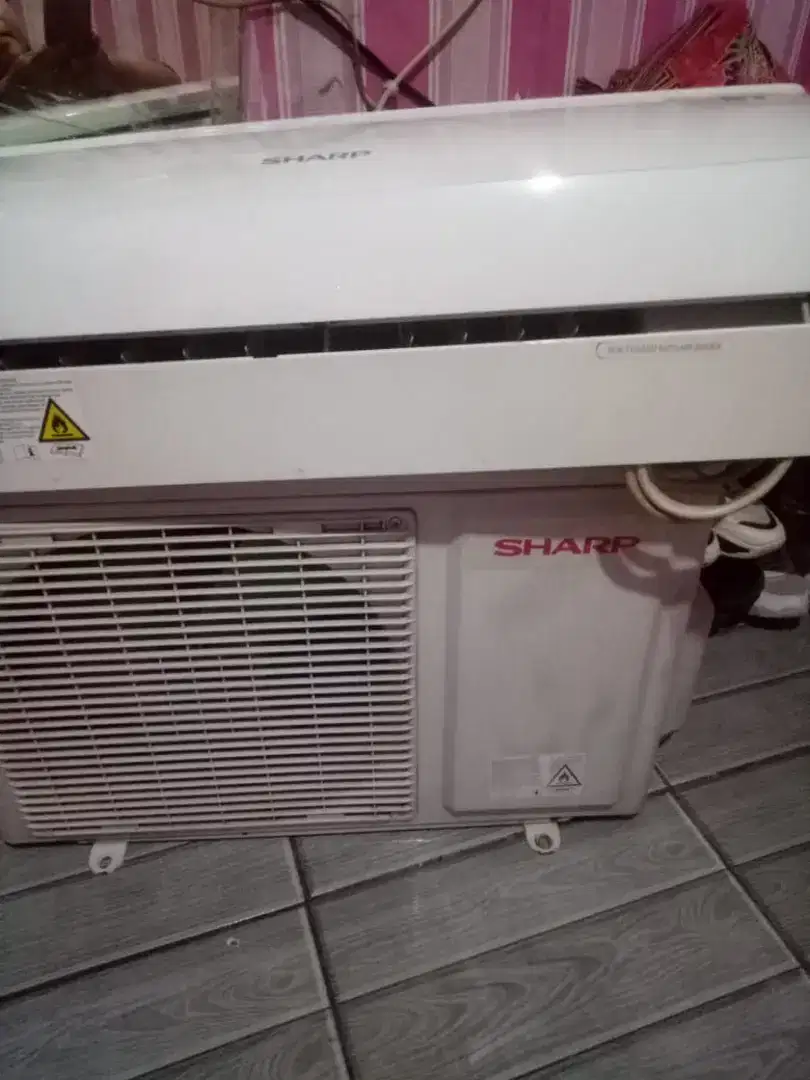 Ac sharp 1/2 pk