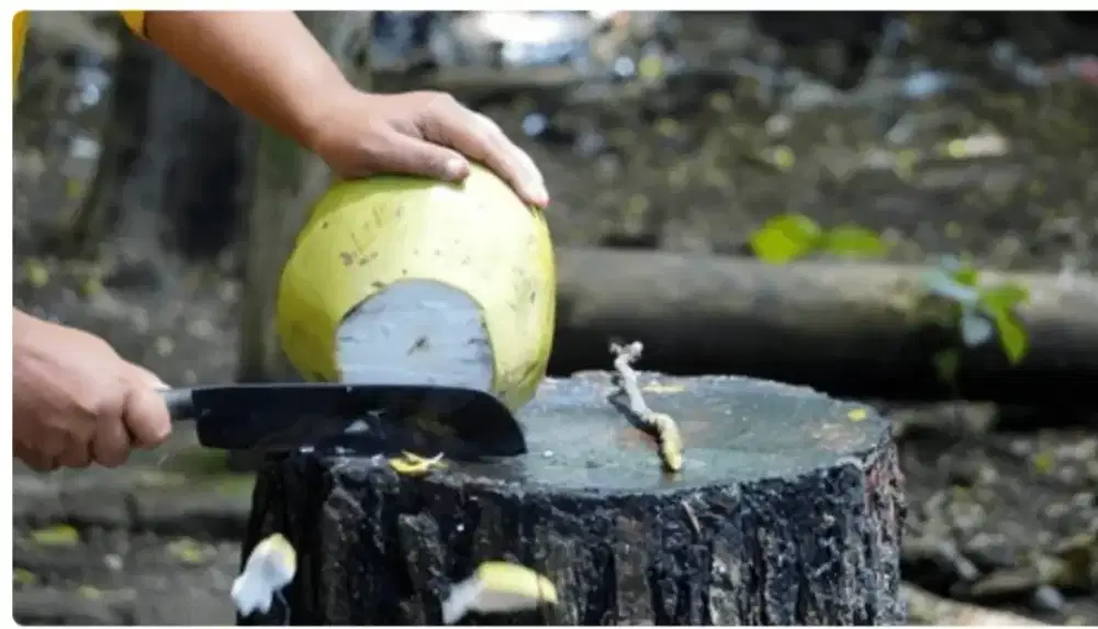 LoKer Tukang Kelapa berpengalaman