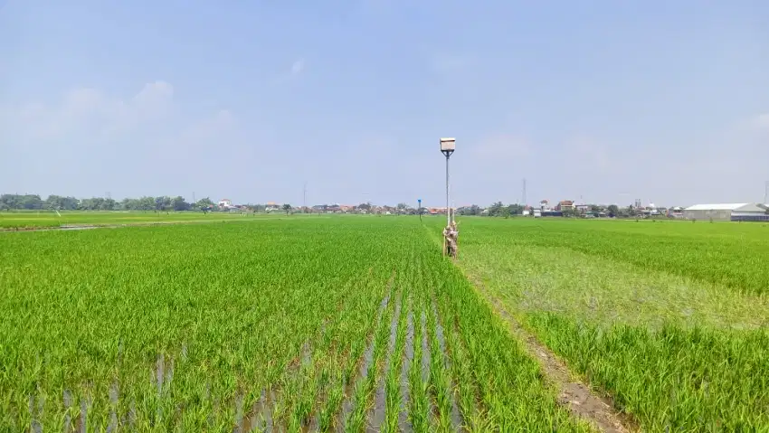 DIJUAL TANAH LUAS & STRATEGIS DI LINGKAR KUDUS DEMAK,DEKAT DJARUM