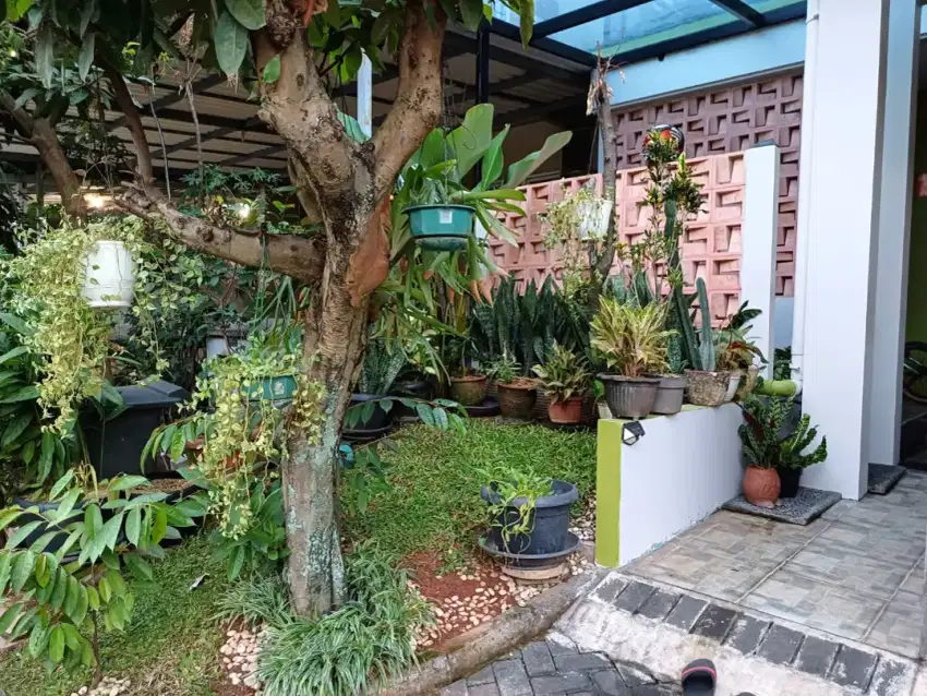 Rumah bagus 2 lt dekat stasiun dan tol bebas banjir sevila BSD