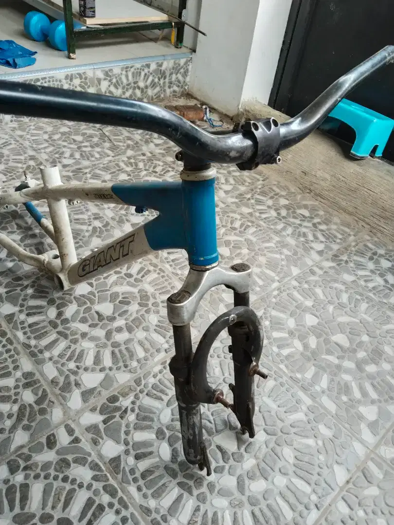 Frame sepeada giant
