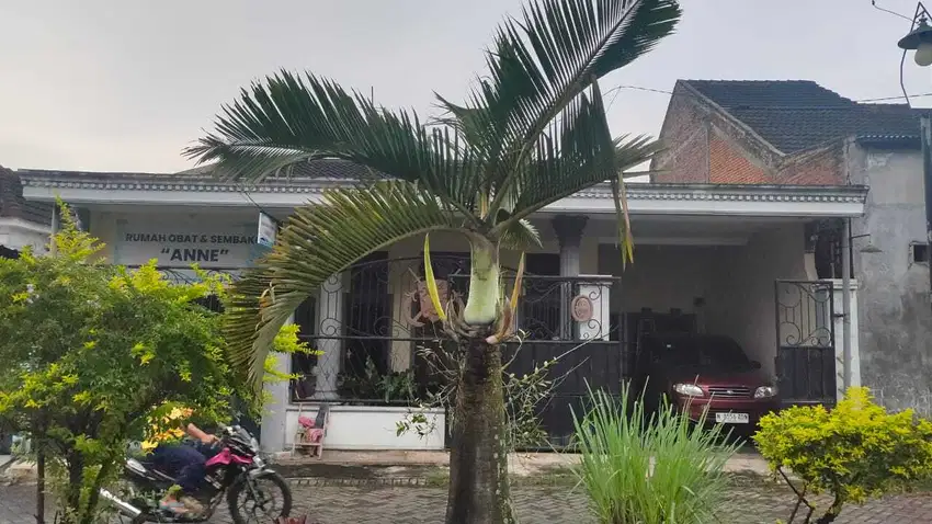 Rumah asrikaton indah Pakis Malang Dijual super cepat B.U poll SHM