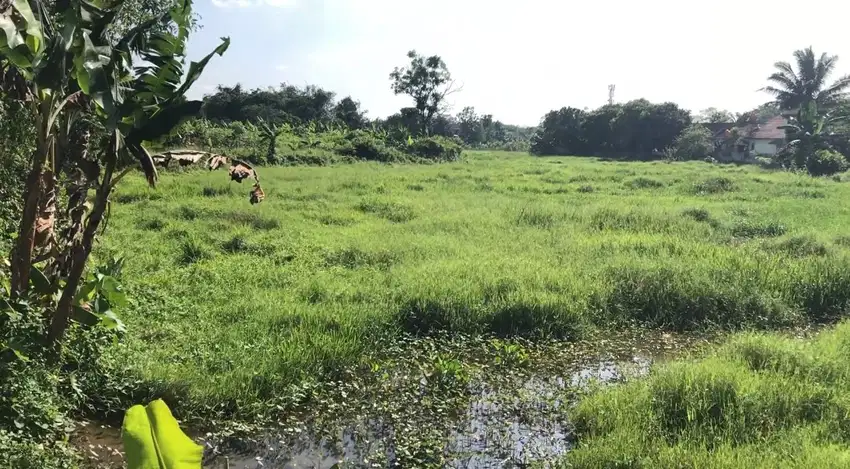 Jual Tanah Di Desa Serdang Wetan, Legok - Tangerang, Banten