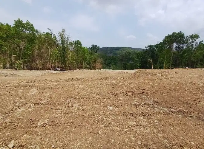 Tanah Murah Bantul, 100 Jt-an, Luas 169m2