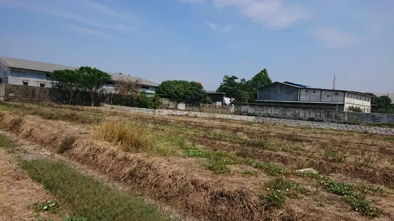 Di Jual Cepat Tanah Strategis Pinggir Jalan Pakuhaji