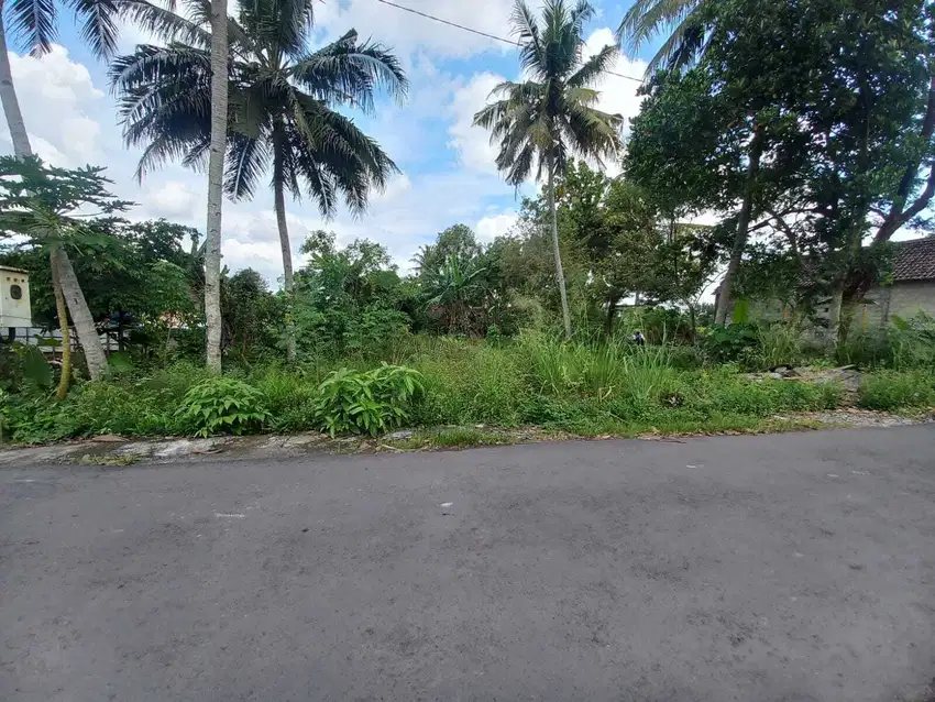 Tanah Murah Palagan, Dekat Ibarbo park, View Sawah