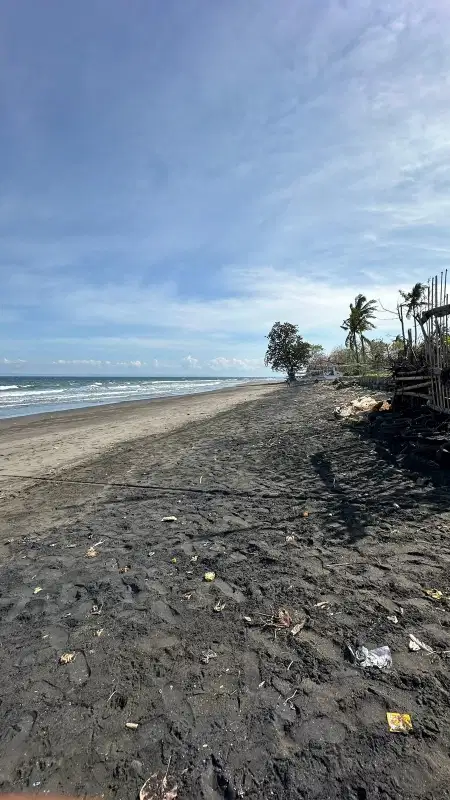 LOS PANTAI / BEACH FRONT 450M2 PERANCAK  JEMBRANA