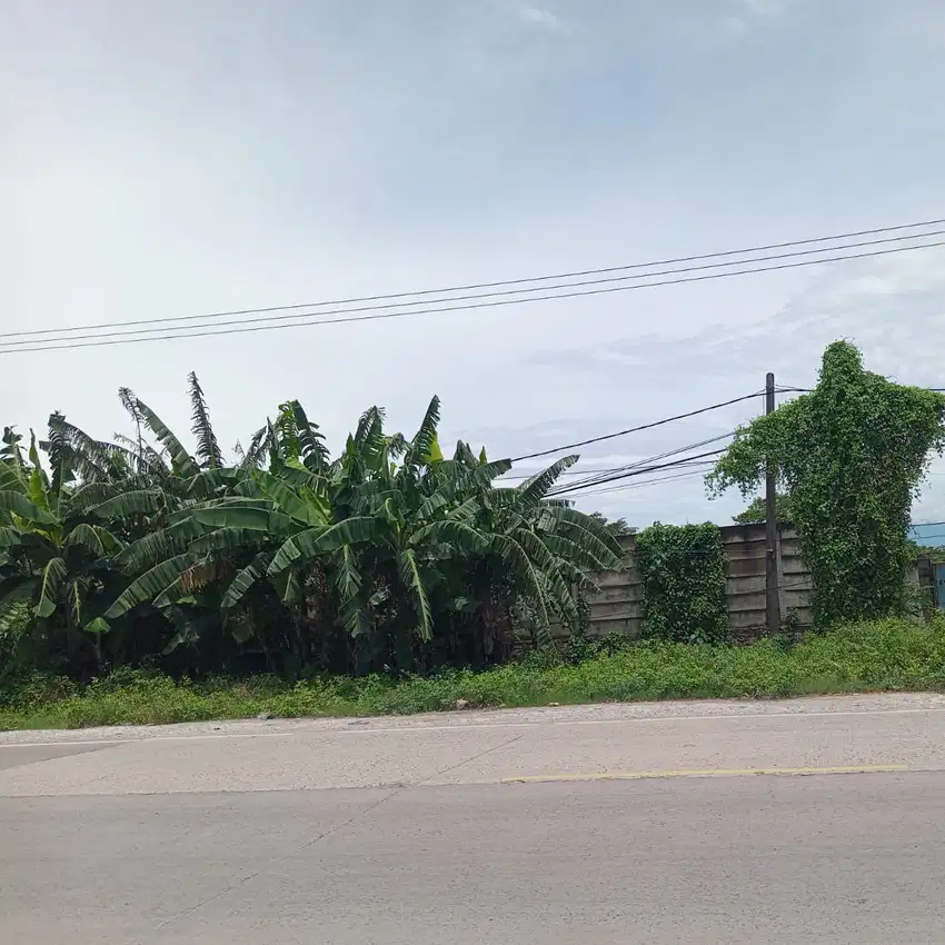 Dijual Tanah Zona industri Cikande 19 hektar 1,1 jt/m SHM